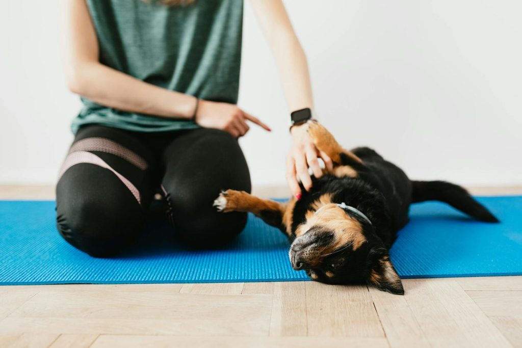 A person sitting on a yoga mat with a dog, petting it during a training session